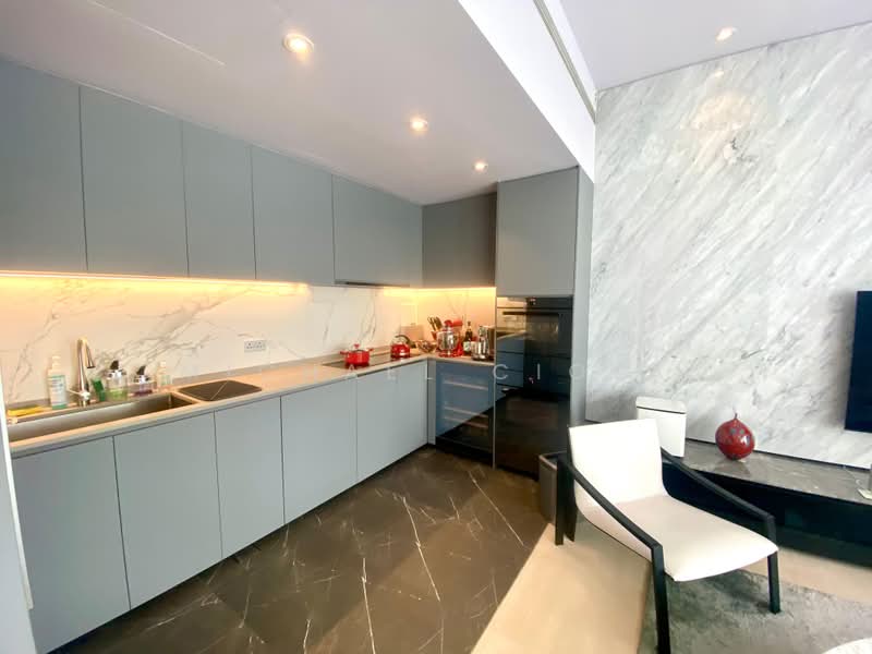 Robertson Blue, 88 Robertson Quay, Orchard / River Valley, 2 Bedrooms, 1,238 sqft, Apartment For Sale, by Michael Ciola, 500202434 - Kitchen - PropertyGuru.com.sg