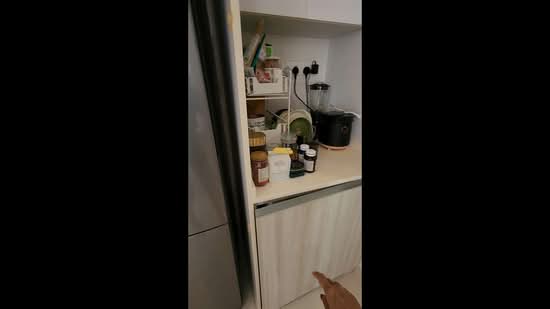 The Glades, 18 Bedok Rise, 1 Bedroom, 463 sqft, Condominium For Rent, by Terence Chow, 500202465 - PropertyGuru.com.sg