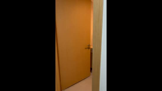 Hill House, 10A-11 Institution Hill, 10B, 2 Bedrooms, 452 sqft, Condominium For Rent, by Cheryl Lee, 500202532 - PropertyGuru.com.sg