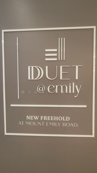 Duet @ Emily, 2 Mount Emily Road, 2 Bedrooms, 549 sqft, Apartment For Sale, by Nick Tan, 500202543 - PropertyGuru.com.sg