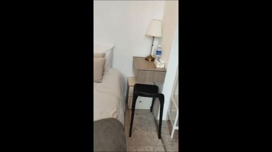 Elizabeth Tower, 12 Mount Elizabeth, Room Rental, 100 sqft, Condominium For Rent, by Patrick Kuah, 500202546 - PropertyGuru.com.sg