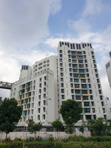 306B Tengah Drive, , Room Rental, 205 sqft, HDB Flat For Rent, by John Cheong, 500202569 - BLK 306B TENGAH DRIVE - PropertyGuru.com.sg
