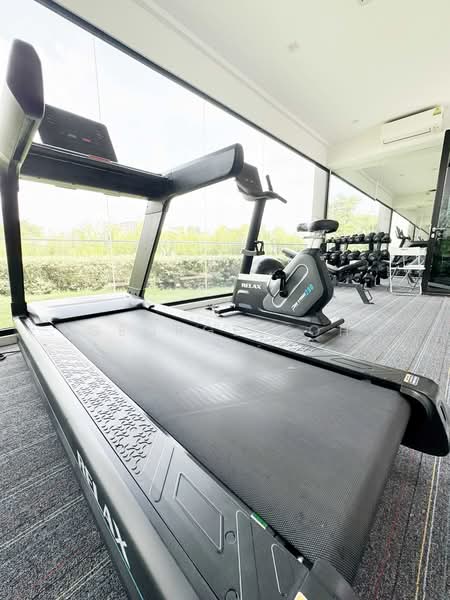 35 Gilstead, 35 Gilstead Road, 1 Bedroom, 474 sqft, Condominium For Sale, by George Koh, 500202589 - Gym - PropertyGuru.com.sg