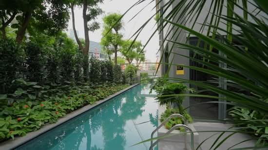 33 Devonshire, 33 Devonshire Road, 2 Bedrooms, 1,001 sqft, Apartment For Rent, by Lee Chow Yin, 500202744 - PropertyGuru.com.sg