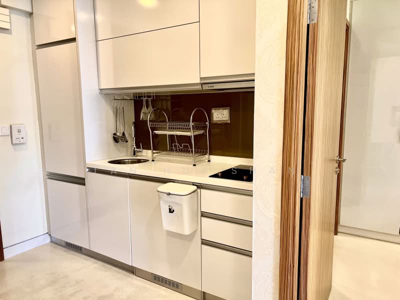 RV Edge, 2 Shanghai Road, 1 Bedroom, 420 sqft, Condominium For Rent, by Tan Hui Shan, 500202840 - Kitchen - PropertyGuru.com.sg