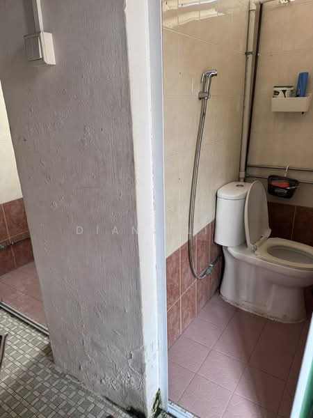 Onan Road, , Room Rental, 600 sqft, Semi-Detached House For Rent, by Diana Lim, 500202877 - Bathroom - PropertyGuru.com.sg