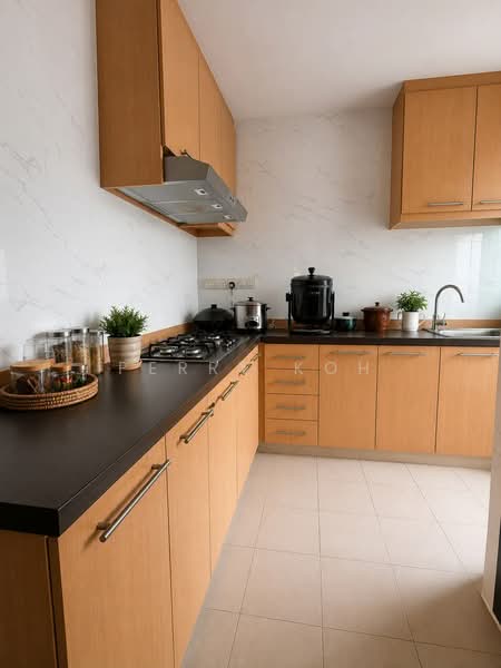Mountbatten Suites, 861 Mountbatten Road, 3 Bedrooms, 1,130 sqft, Condominium For Sale, by Perry Koh, 500203136 - Kitchen - PropertyGuru.com.sg