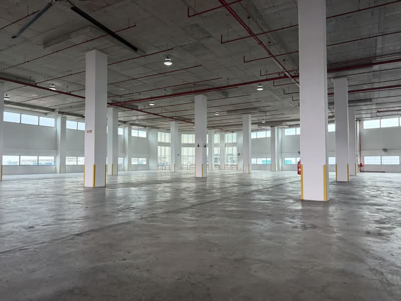 Warehouse @ Changi - 10m Height, 20KN/m2, Dedicated Loading Bays, Changi, 50,400 sqft, Warehouse For Rent, by Betsy Loh, 500203405 - Interior - CommercialGuru.com.sg