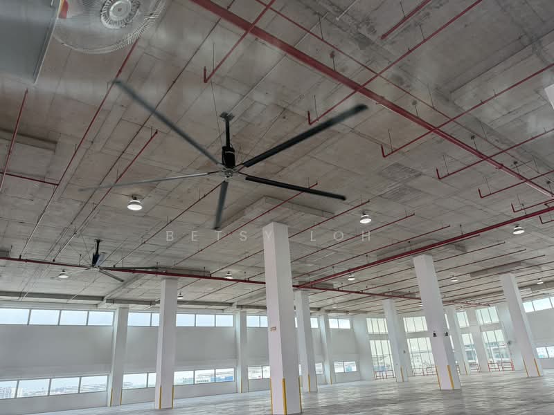 Warehouse @ Changi - 10m Height, 20KN/m2, Dedicated Loading Bays, Changi, 50,400 sqft, Warehouse For Rent, by Betsy Loh, 500203405 - Interior - CommercialGuru.com.sg