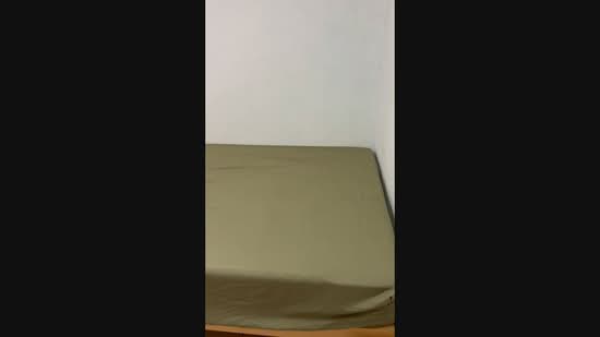 298B Compassvale Street, 298B Compassvale Street, Hougang / Punggol / Sengkang, Room Rental, 100 sqft, HDB Flat For Rent, by Cynthia Kok, 500203484 - PropertyGuru.com.sg