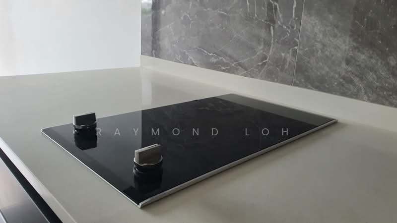 Kent Ridge Hill Residences, 56F South Buona Vista Road, 1 Bedroom, 474 sqft, Condominium For Rent, by Raymond Loh, 500203624 - Kitchen - PropertyGuru.com.sg