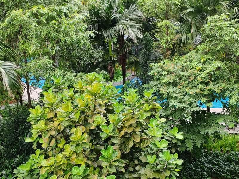 Grandeur Park Residences, 1 Bedok South Avenue 3, 3 Bedrooms, 893 sqft, Condominium For Rent, by Peggy Chan, 500204044 - Balcony View - PropertyGuru.com.sg