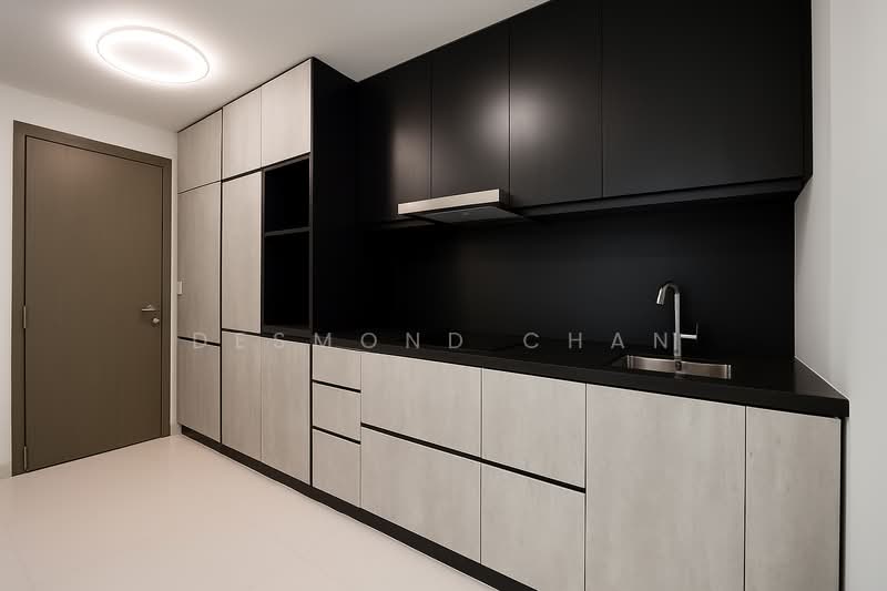 The Rise @ Oxley - Residences, 71 Oxley Rise, Room Rental, 150 sqft, Apartment For Rent, by Desmond Chan, 500204107 - Kitchen - PropertyGuru.com.sg