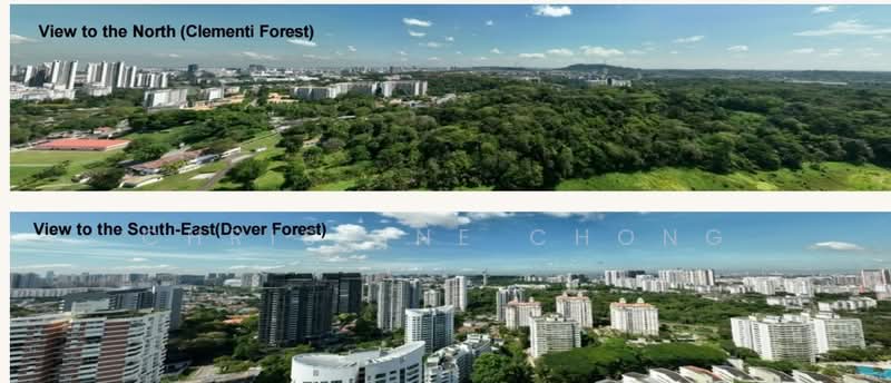 Pinetree Hill, 30 Pine Grove, 5 Bedrooms, 2,874 sqft, Condominium For Sale, by Christine Chong, 500204154 - View - PropertyGuru.com.sg