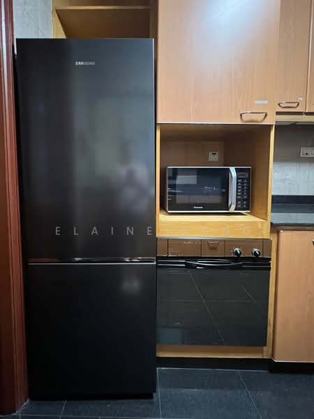 The Sterling, 1001 Bukit Timah Road, Clementi Park / Upper Bukit Timah, Room Rental, 100 sqft, Condominium For Rent, by Elaine Chng, 500204238 - Kitchen - PropertyGuru.com.sg