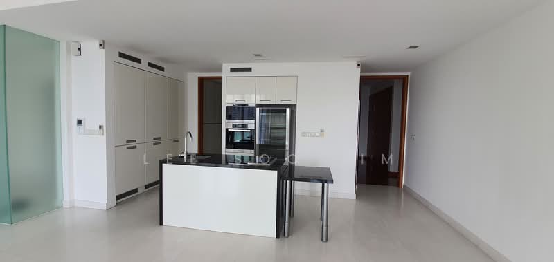 Saint Thomas Suites, 33 St Thomas Walk, 4 Bedrooms, 2,605 sqft, Condominium For Sale, by Lee Soo Kim, 500204423 - Kitchen - PropertyGuru.com.sg