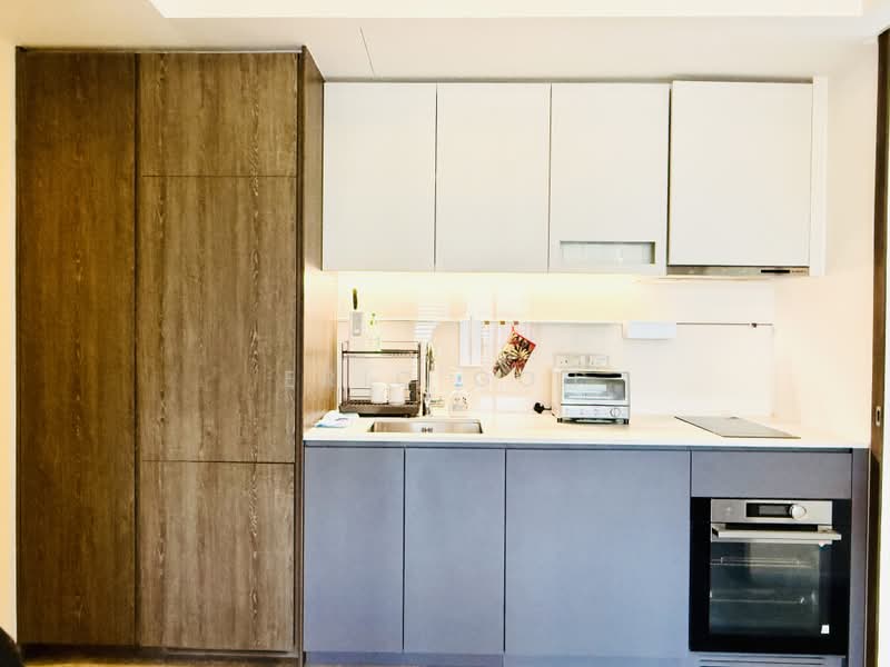 The M, 36 Middle Road, 2 Bedrooms, 947 sqft, Condominium For Rent, by Eric Goh, 500204481 - Kitchen - PropertyGuru.com.sg