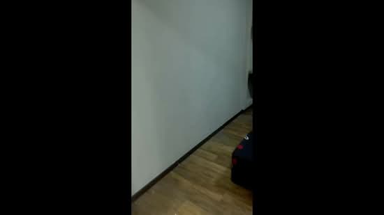 666 Choa Chu Kang Crescent, 666 Choa Chu Kang Crescent, Room Rental, 150 sqft, HDB Flat For Rent, by Tracy Lim, 500204767 - PropertyGuru.com.sg