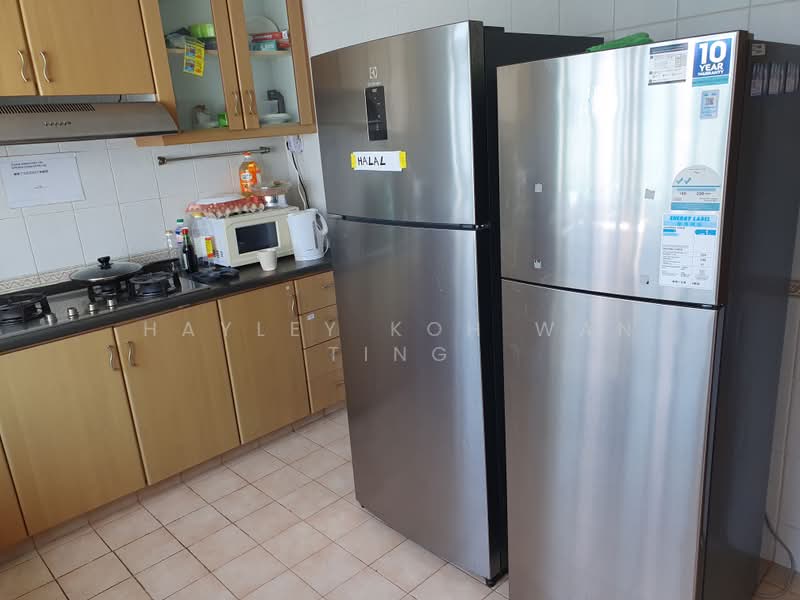 Ballota Park Condo, 152 Mariam Way, 6 Bedrooms, 1,700 sqft, Condominium For Rent, by Hayley Koh Wan Ting, 500204838 - Kitchen - PropertyGuru.com.sg