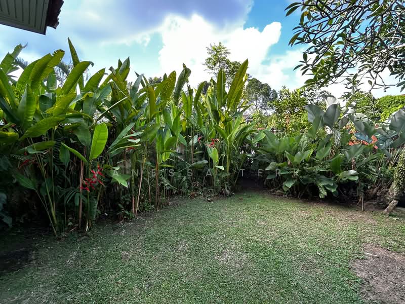 2-Storey Detached with Semi-Sunken Deck Pool and Garden, Jalan Jambu Ayer, Clementi Park / Upper Bukit Timah, 5 Bedrooms, 5,000 sqft, Detached House For Rent, by Vanessa Terk, 500204948 - Garden - PropertyGuru.com.sg