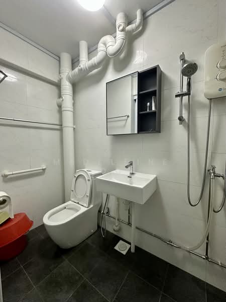 262 Bishan Street 22, 262 Bishan Street 22, Room Rental, 150 sqft, HDB Flat For Rent, by Madeleine Looi, 500204969 - Bathroom - PropertyGuru.com.sg