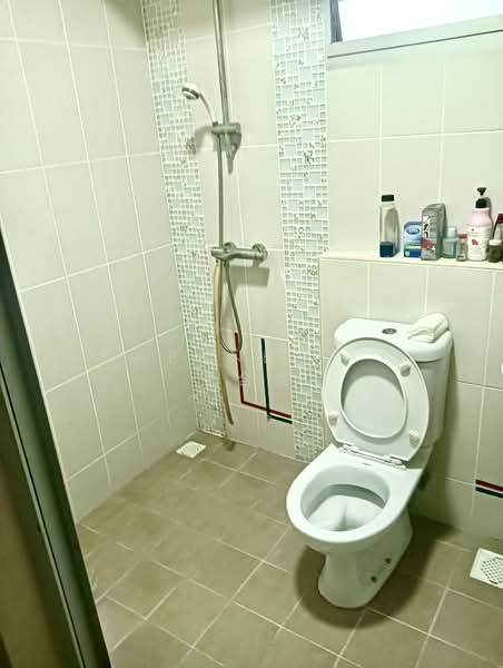 527C Costa Ris, 527C Pasir Ris Street 51, 2 Bedrooms, 732 sqft, HDB Flat For Sale, by Daphne Tay 谢合宝, 500205057 - Bathroom - PropertyGuru.com.sg