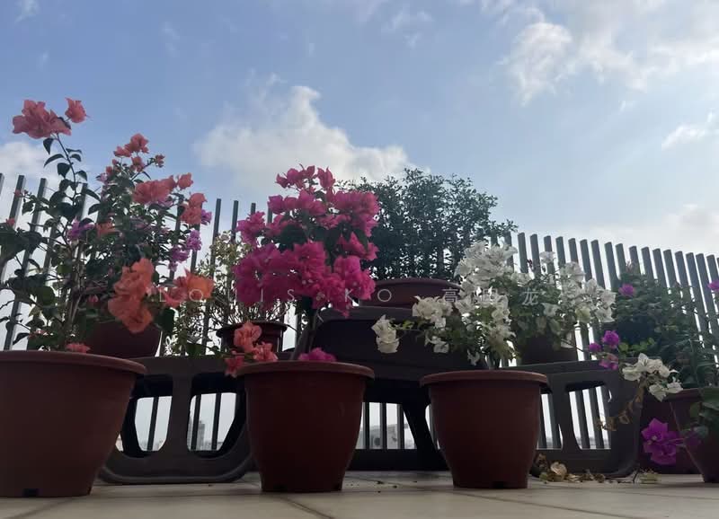 La Vida @ 130, 130 Lorong K Telok Kurau, Room Rental, 130 sqft, Condominium For Rent, by Louis Ko 高国龙, 500205553 - Exterior - PropertyGuru.com.sg