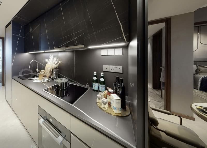 CanningHill Piers, 177 River Valley Road, City Hall / Clarke Quay, 1 Bedroom, 549 sqft, Condominium For Sale, by Ryan Lim, 500205736 - Kitchen - PropertyGuru.com.sg