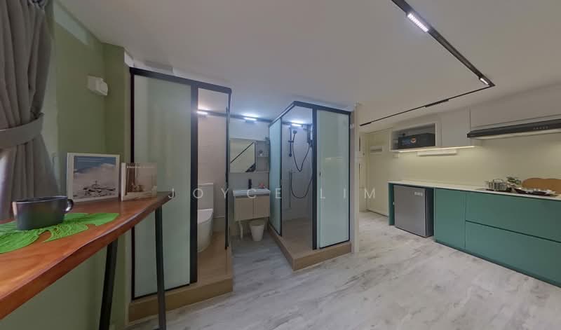 River Valley/Robertson Quay, , 2 Bedrooms, 560 sqft, Shophouse For Rent, by Joyce Lim, 500206004 - Kitchen - PropertyGuru.com.sg
