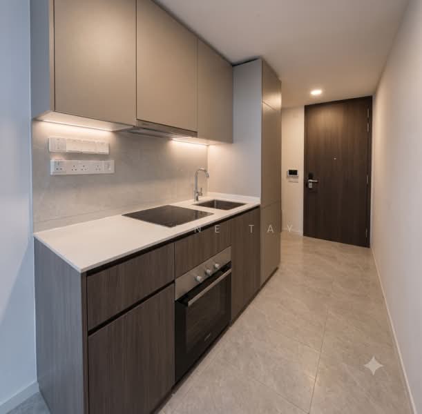 Piccadilly Grand, Northumberland Road, 1 Bedroom, 484 sqft, Condominium For Sale, by Eugene Tay, 500206322 - Kitchen - PropertyGuru.com.sg