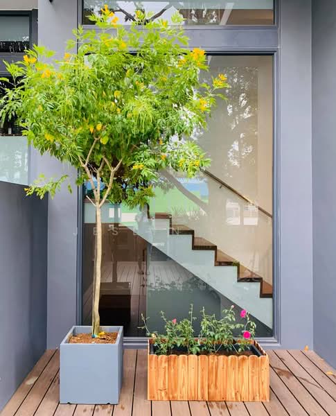 Dyson Road, Dyson Road, 5 Bedrooms, 4,633 sqft, Semi-Detached House For Sale, by Jeslyn Lim, 500206386 - PropertyGuru.com.sg
