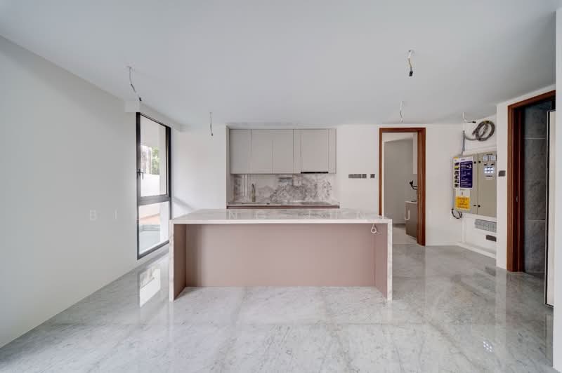 Brockhampton Drive, Brockhampton Drive, 6 Bedrooms, 7,460 sqft, Semi-Detached House For Sale, by Billy Ng Jun Jie, 500206517 - Kitchen - PropertyGuru.com.sg
