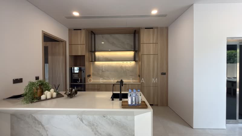 Kheam Hock Road, Kheam Hock Road, 6 Bedrooms, 3,199 sqft, Semi-Detached House For Sale, by Joey Lam, 500206593 - Kitchen - PropertyGuru.com.sg