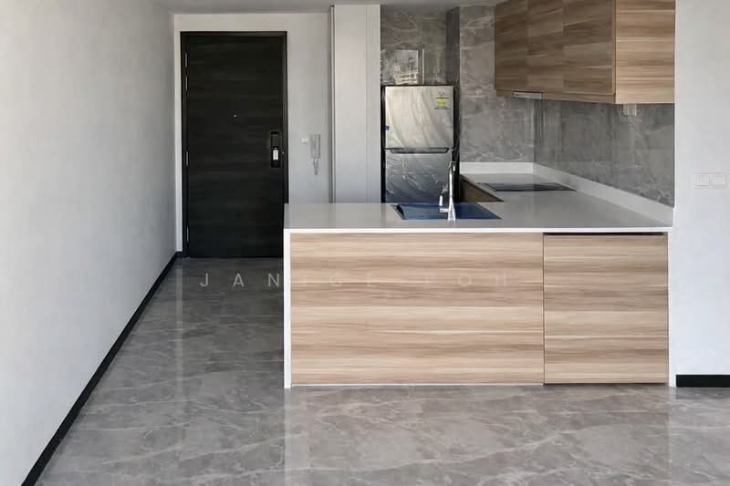 The Poiz Residences, 10 Meyappa Chettiar Road, 3 Bedrooms, 775 sqft, Condominium For Rent, by Janice Poh, 500206954 - Kitchen - PropertyGuru.com.sg