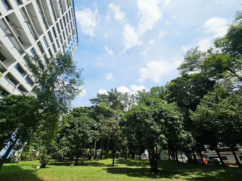 503 Jelapang Road, 503 Jelapang Road, 4 Bedrooms, 1,550 sqft, HDB Flat For Sale, by Michelle Leong, 500207045 - Exterior - PropertyGuru.com.sg