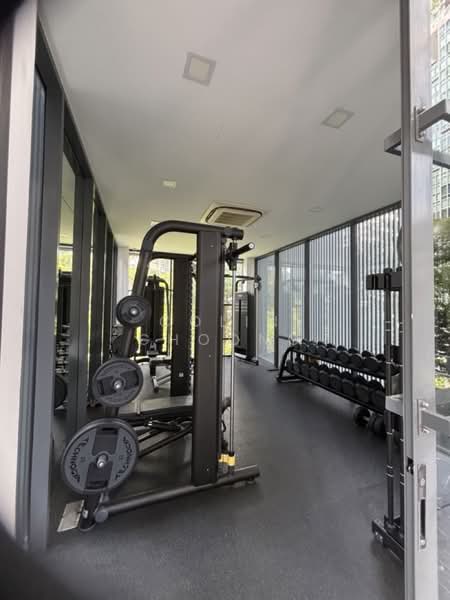 Skypark @ Somerset, 22 Saint Thomas Walk, 4 Bedrooms, 3,347 sqft, Apartment For Rent, by Colin Choong, 500207068 - Gym - PropertyGuru.com.sg