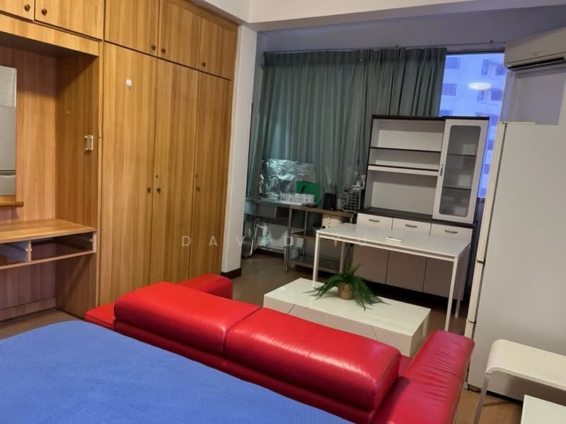 Elizabeth Tower, 14 Mount Elizabeth, Room Rental, 220 sqft, Condominium For Rent, by David Yu, 500207179 - PropertyGuru.com.sg