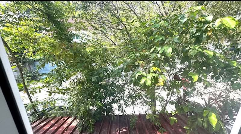 Landed house studio - 7 minutes walk to Telok Blangah, , Studio, 400 sqft, Terraced House For Rent, by Gibson Ho, 500207413 - Exterior - PropertyGuru.com.sg
