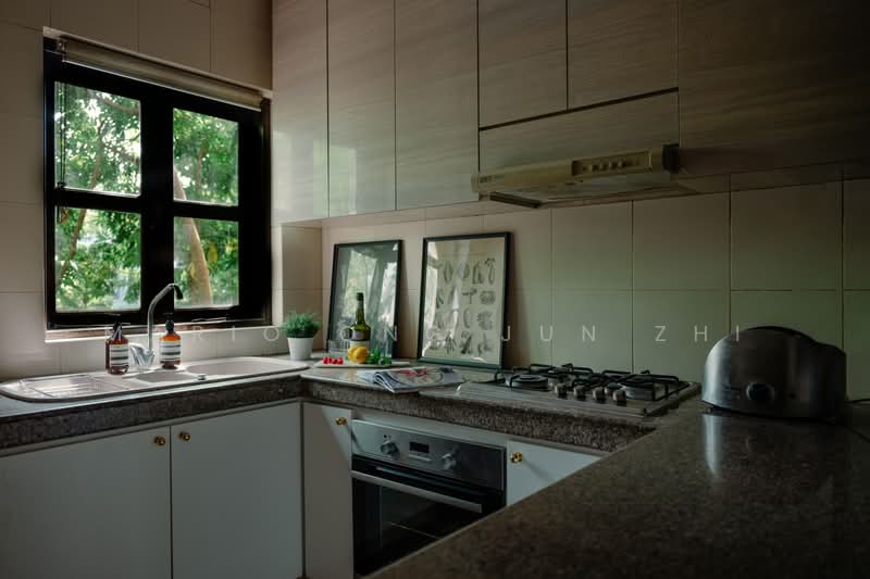 126 Emerald Hill Conservation Area, 126 Emerald Hill, Room Rental, 600 sqft, Shophouse For Rent, by Mario Ong Jun Zhi, 500207618 - Kitchen - PropertyGuru.com.sg