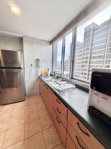 UE Square, 205 River Valley Road, Room Rental, 100 sqft, Apartment For Rent, by punkin, 500207827 - Kitchen - PropertyGuru.com.sg