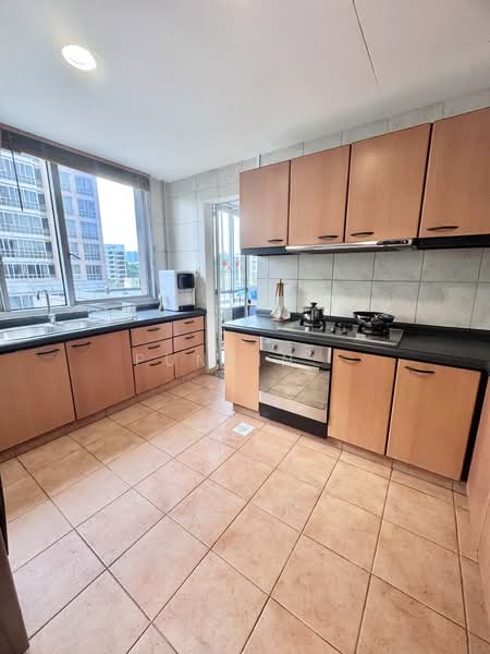 UE Square, 205 River Valley Road, Room Rental, 100 sqft, Apartment For Rent, by punkin, 500207827 - Kitchen - PropertyGuru.com.sg