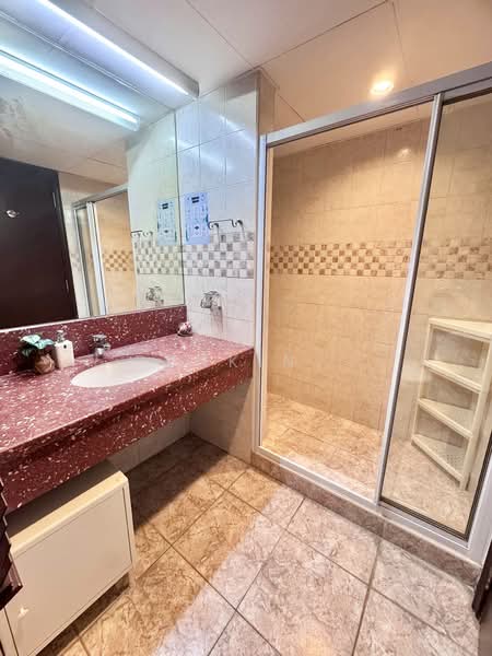 UE Square, 205 River Valley Road, Room Rental, 100 sqft, Apartment For Rent, by punkin, 500207827 - Bathroom - PropertyGuru.com.sg