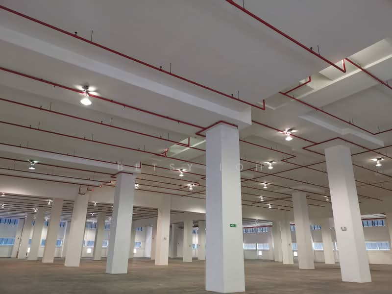 Warehouse Nr Jurong Port Rd - High Ceiling, Heavy Floor Loading, , 88,000 sqft, Warehouse For Rent, by Betsy Loh, 500207829 - Dedicated Loading Bays - CommercialGuru.com.sg