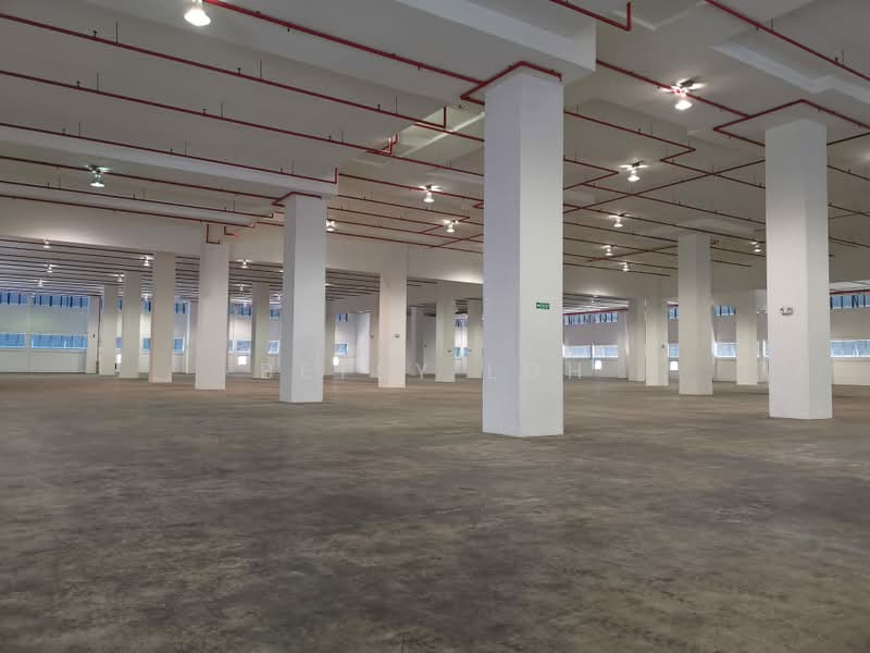 Warehouse Nr Jurong Port Rd - High Ceiling, Heavy Floor Loading, , 88,000 sqft, Warehouse For Rent, by Betsy Loh, 500207829 - Interior - CommercialGuru.com.sg