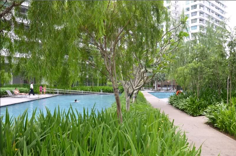 Livia, 79 Pasir Ris Grove, 3 Bedrooms, 1,324 sqft, Condominium For Rent, by Sunny Sun HL, 500208550 - Pool - PropertyGuru.com.sg