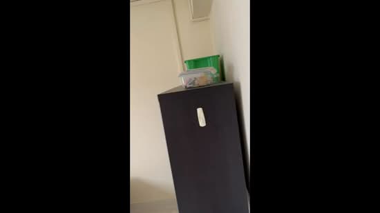 63 Marine Drive, 63 Marine Drive, Room Rental, 100 sqft, HDB Flat For Rent, by Danny Yeo, 500208851 - PropertyGuru.com.sg