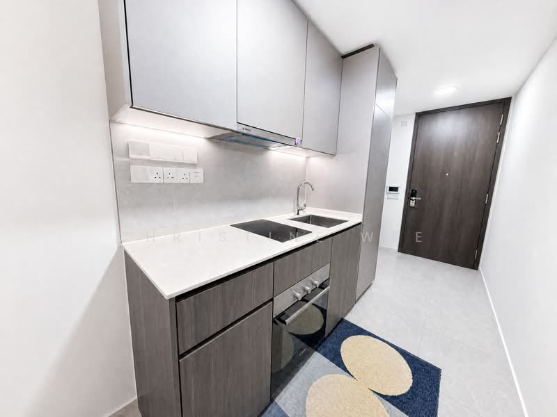 Piccadilly Grand, Northumberland Road, 1 Bedroom, 484 sqft, Condominium For Sale, by Christine Wee, 500208984 - Kitchen - PropertyGuru.com.sg