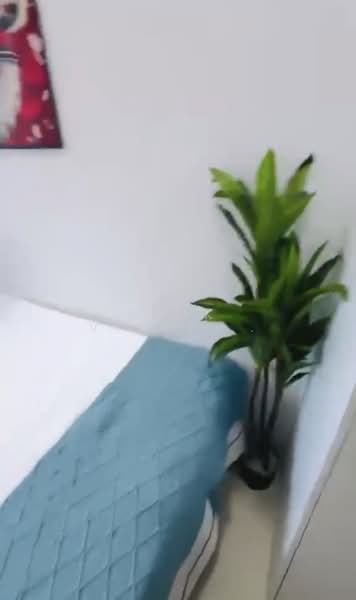 City Square Residences, 2 Kitchener Link, 1 Bedroom, 150 sqft, Condominium For Rent, by Nick Vishindas, 500209151 - Bedroom - PropertyGuru.com.sg