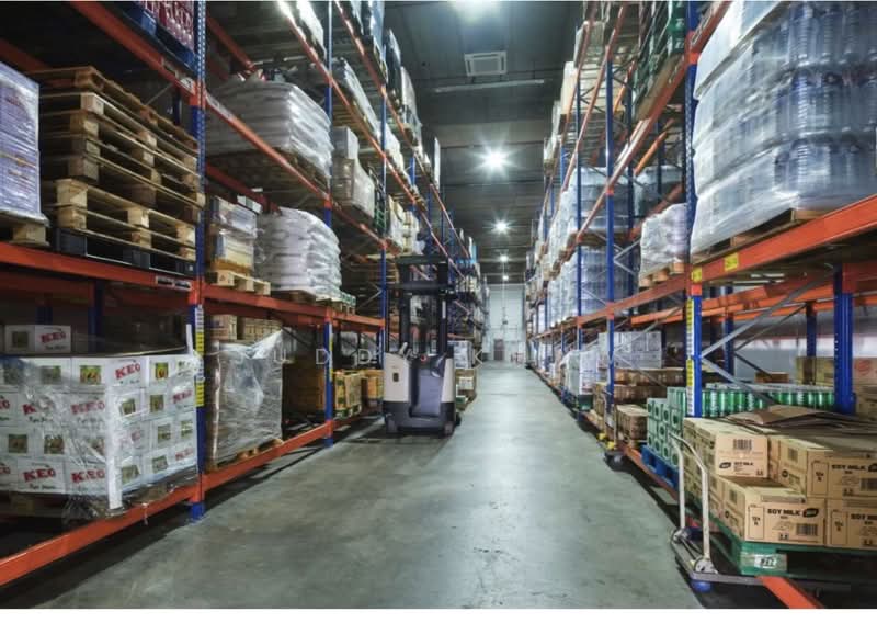 Chin bee road, Chin bee, 55,922 sqft, Warehouse For Rent, by Juddy Khaw, 500209159 - Interior - CommercialGuru.com.sg