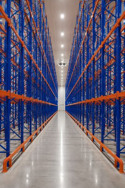 Chiller/Aircon Warehouse - 3,500 pallet position, , 25,000 sqft, Warehouse For Rent, by Tyrese Low, 500209333 - Interior - CommercialGuru.com.sg